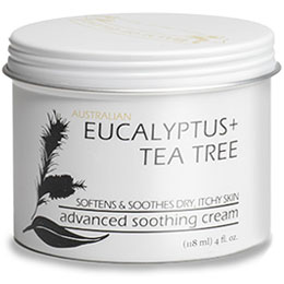 eucalyptus teatree