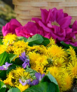 Adding Flowers to Your Soap.