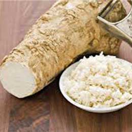 fresh horseradish